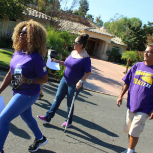 SEIU 721 Canvassing