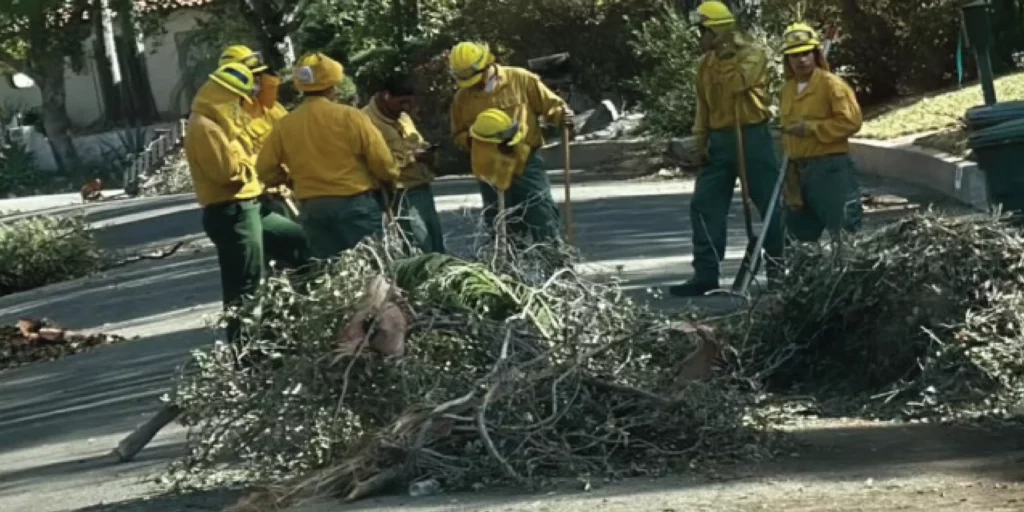 A group of CALFIRE workers chop down a fallen tree branches in the middle of the street. The group of CALFIRE workers are all in yellow and green uniforms and wearing safety helmets.