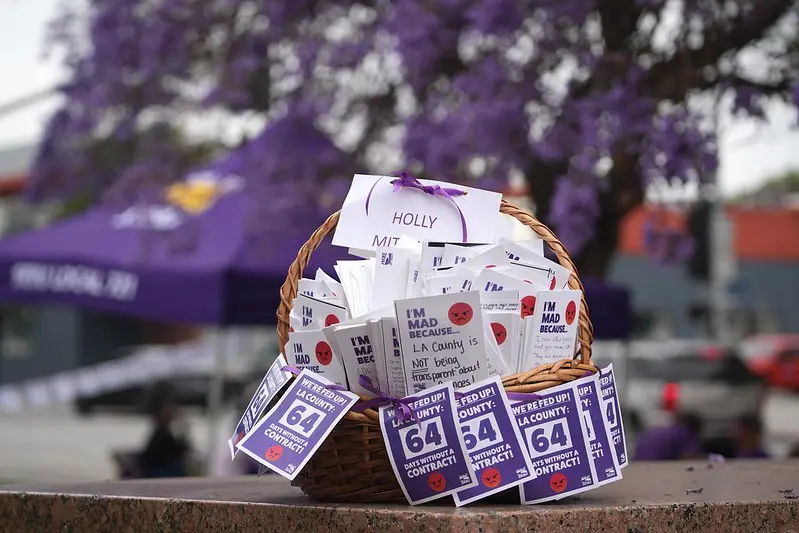 Hundreds of hand-written letters are stuffed into a basket meant to be delivered to Supervisor Molly Mitchell.